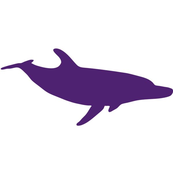 AR DOLPIN 12 RC Thumbnail