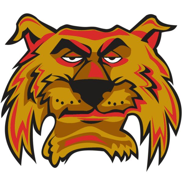 WILDCAT HD0503 RQC Thumbnail